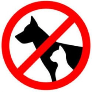 r/PetFree with Spencer (@bog_chaser)