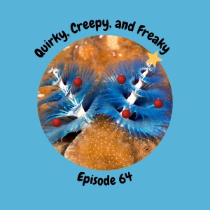 Episode 64: Christmas Worms