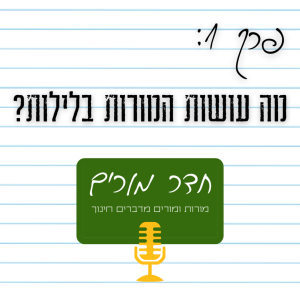 פרק 1 - מה עושות המורות בלילות?