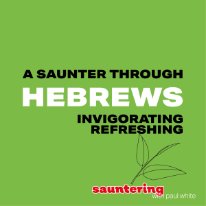 A Saunter Through Hebrews: Chapter 8