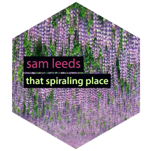 sam leeds - that spiraling place