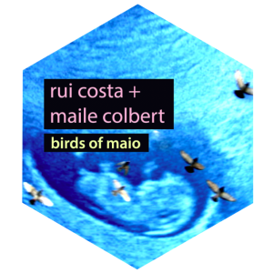 rui costa + maile colbert - birds of maio