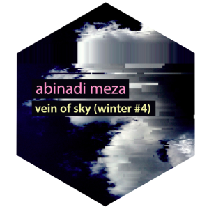 abinadi meza - vein of sky (winter #4)