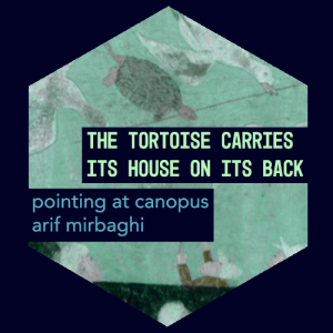 The Tortoise Carries its House on its Back