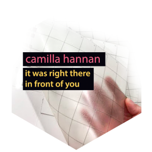 camilla hannan - it was right there in front of you