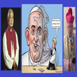 Francis a Material Pope?? (Archbishop Thuc Consecrations & Response to Mario Derksen)