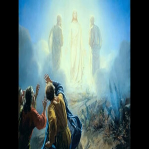 The Catholic Storyteller: Transfiguration & Triumphal entry into Jerusalem by Mystic Ven. Mary of Agreda