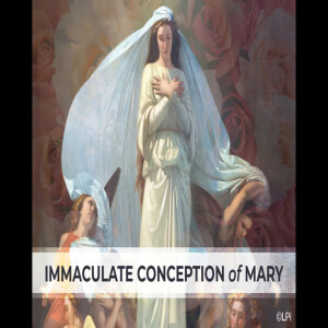 The Catholic Storyteller: The Immaculate Conception as Seen by Mystic Ven. Mary of Agreda
