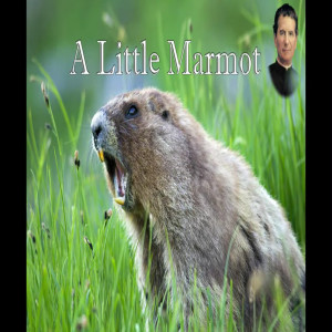 The Catholic Storyteller: The Little Marmot (St. John Bosco’s 25th Dream)