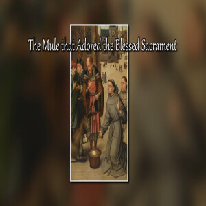 The Catholic Storyteller: The Mule that Adored the Blessed Sacrament (St. Anthony of Padua)