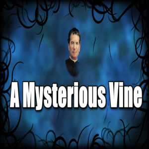 The Catholic Storytelller: A Mysterious Vine (St. John Bosco’s 31st Dream)