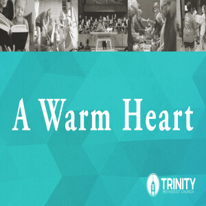 A Warm Heart