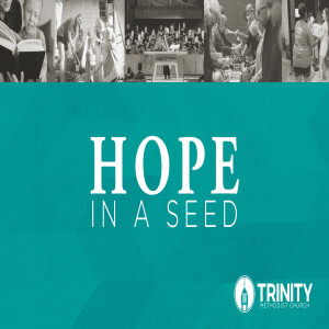 Hope in a Seed