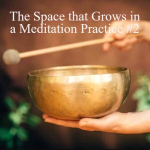 #9 The Space that Grows in a Meditation Practice #2, Attaching The Seed of Love and the feelings that grow.