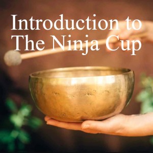 #1 Introduction to The Ninja Cup