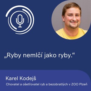 Chovatel a ošetřovatel ryb a bezobratlých v ZOO Plzeň Karel Kodejš: Ryby nemlčí jako ryby.