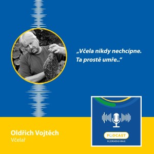 Včelař Oldřich Vojtěch: Včela nikdy nechcípne. Ta prostě umře.