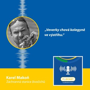 Vedoucí Záchranné stanice živočichů Plzeň Karel Makoň: Veverky chová kolegyně ve výstřihu.