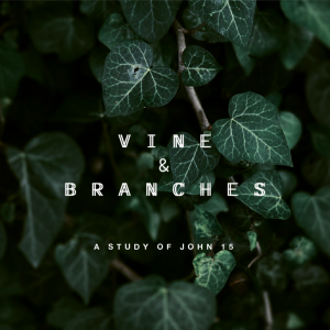 Vine and Branches - The Advocate is Coming (Part 2)