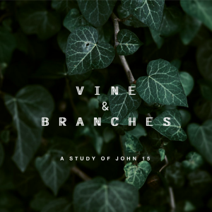 Vine and Branches - Not Your Home