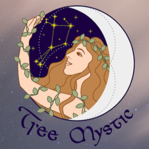 The Tree Mystic - A Conversation with Hannah McQuilkan