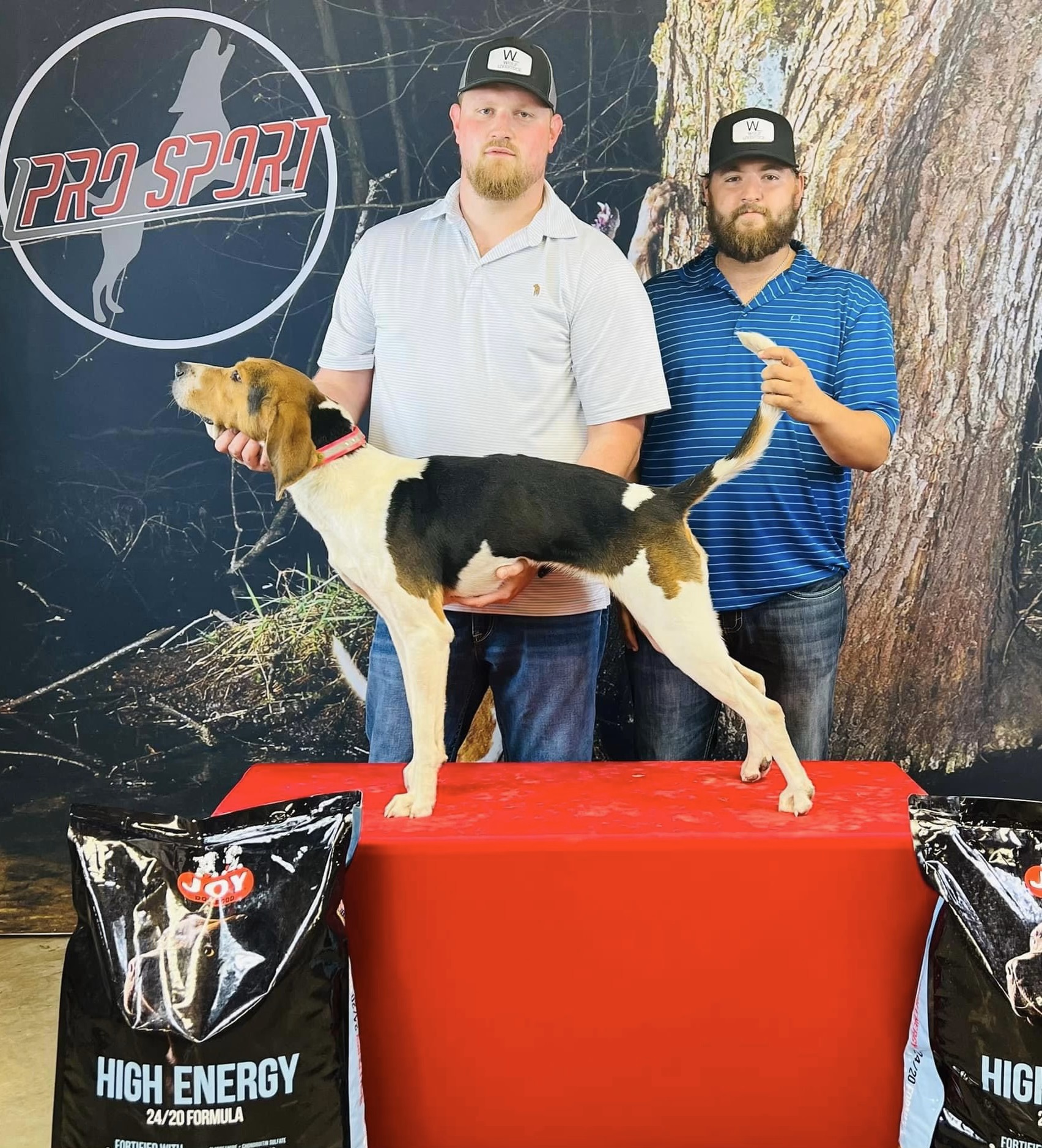 The Hunting Dog Public