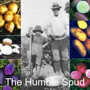 Archive Treasures- The Humble Spud