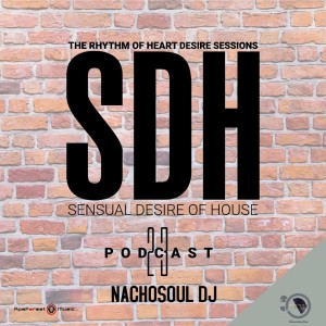 Sensual Desire Of House Podcast 023 By NachoSoul DJ