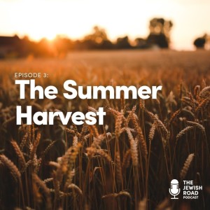 The Summer Harvest