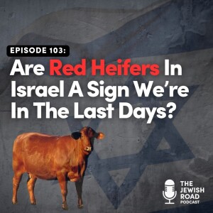 Are Red Heifers In Israel A Sign We're In The Last Days?
