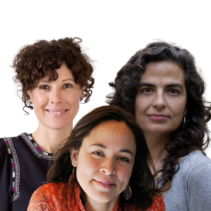 Ep 305: The School of Intuitive Homeopathy - with Angelica Lemke, Sarah Valentini, Lizzie Martinez