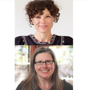 Ep 390: Healing Complex Children: Insights from the Homeopathy Hive - with Sarah Valentini & Bridget Biscotti Bradley