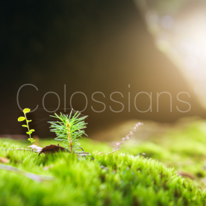 November 12th 2023 - Pastor James Tyler - Colossians 4:2-6 ”Wisdom Toward Outsiders”