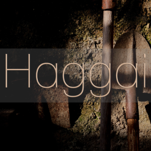 February 13th 2022 - Haggai 2:20-23 - ”I Have Chosen You”
