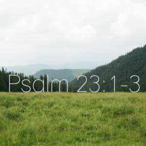 December 26th 2021 - Psalm 23:1-3