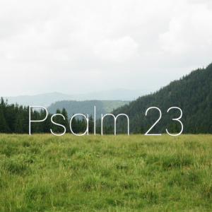January 2nd 2022 - Psalm 23:4-6