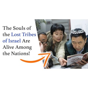 The Deep Reason People Around the World Feel Such a Deep Connection with Israel, God, and the Torah