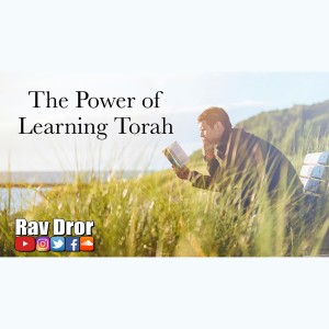 The Power of Learning Torah - Rav Dror Moshe Cassouto