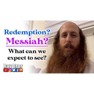 When the Redemption and the Messiah comes, what can we expect to see?