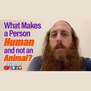 The Spiritual Difference Between a Human and an Animal - Rav Dror Moshe Cassouto