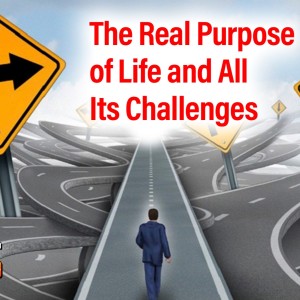 The Deeper Purpose Behind Life's Struggles: You Learn Greater Wisdom