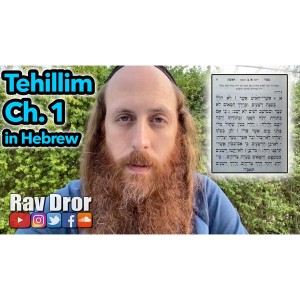Learning Tehillim (Psalms) Ch. 1 in Hebrew and English (with Commentary and Explanation)