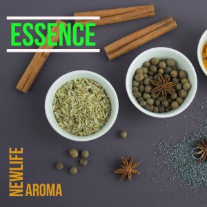 Essence Part 3