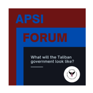 What will the Taliban government look like?