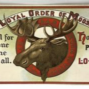 Loyal Order Of the Moose- Embezzlement, Racism and Sex Crimes