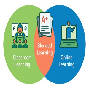 The Ideal is Blended Learning