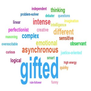 The Controversy Over Gifted Education Programs