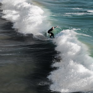 Leaving the Old Normal Behind and Riding the Wave Into the Future