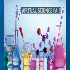 Ideas For A Virtual Science Fair