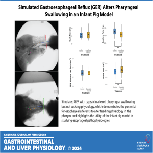 "Got Guts" The Micro Version: The Effects of Simulated Gastroesophageal Reflux on Infant Pig Oropharyngeal Feeding Physiology